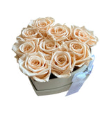 Light Peach Ivory Heart Special (1 left)