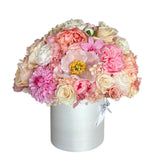 The Mirabelle *pick up only* (1 left)