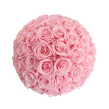 The Aurelia Dome *pick up only*