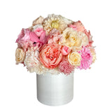 The Mirabelle *pick up only* (1 left)