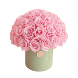 The Aurelia Dome *pick up only*