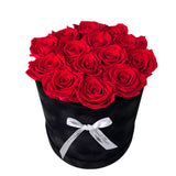 Infinity Signature Round Plus (20+ colors)