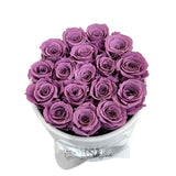 Infinity Mini Mauve Purple Special (2 left)