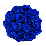 Royal Blue Signature Round Plus (1 left)