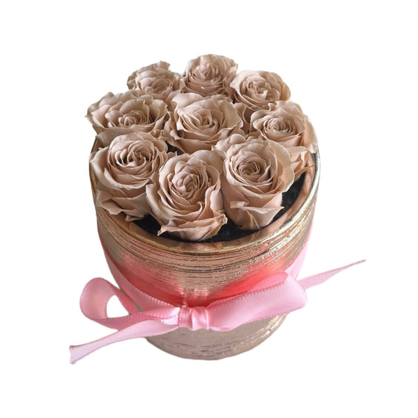 Nude-Pink Rose-Gold Special