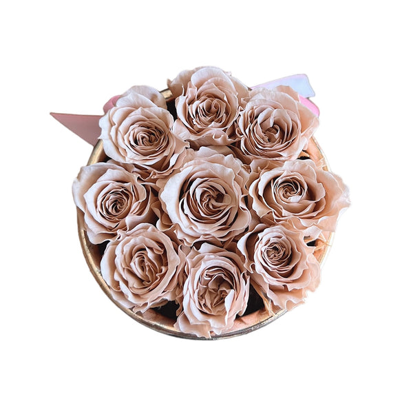 Nude-Pink Rose-Gold Special (1 left)