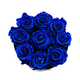 Royal Blue Round Velvet Special (1 left)