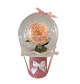 Medium Fleur Bubble (garden rose)