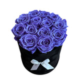 Deep Iris Signature Round Plus (0 left)