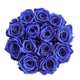 Deep Iris Signature Round Plus (0 left)