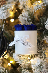 White Infinity Mini Round (7 rose colors)