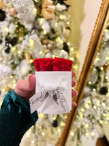 White Infinity Mini Round (7 rose colors)