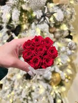 White Infinity Mini Round (7 rose colors)