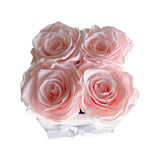 Infinity Camille Vase Special (10+ colors)