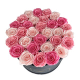 Infinity Grandeur Round (SOLD OUT)