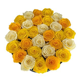 Infinity Grandeur Round (SOLD OUT)