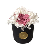 Gardenias and Hydrangeas Special