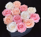 Infinity Signature Heart Special (25+ colors)