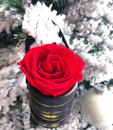 The One Fleur (20+ colors)