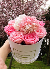 Infinity Signature Round (20+ colors)