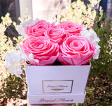 Infinity Deluxe Large Fleurs (15+ colors)