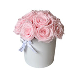 Le Cherie Dôme Special *limited colors