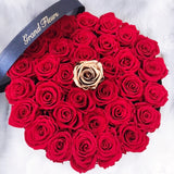 Infinity Grandeur Round (SOLD OUT)