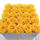 Infinity Luxe Square (12+ colors)