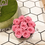 Light Pink Mini Etched