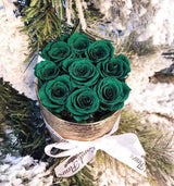 Etched Infinity Mini Round (15+ colors)