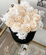 Infinity Signature Round Plus (20+ colors)