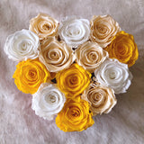 Infinity Signature Heart Special (25+ colors)