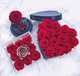 Infinity Signature Heart Special (25+ colors)