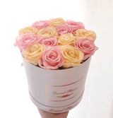 Infinity Signature Round Plus (20+ colors)