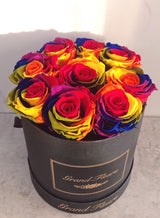 Infinity Signature Round (20+ colors)