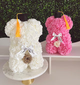 White Baby Bear Special