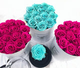 Infinity Signature Round Plus (20+ colors)