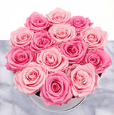 Infinity Signature Round Plus (20+ colors)