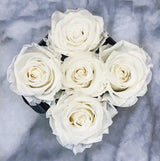 Infinity Deluxe Large Fleurs (15+ colors)