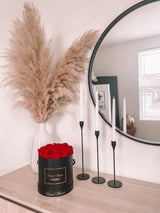 Infinity Signature Round Plus (20+ colors)