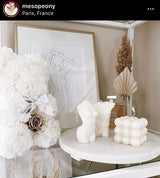 White Baby Bear Special