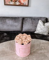 Infinity Signature Round (20+ colors)