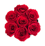 Infinity Lush Petite Round