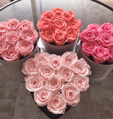 Infinity Signature Heart Special (25+ colors)