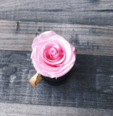 The One Fleur (20+ colors)