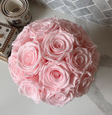 Le Cherie Dôme Special *limited colors