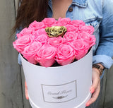 Infinity Luxe Round Special (20+ colors)