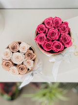 Etched Infinity Mini Round (15+ colors)