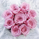 Etched Infinity Mini Round (15+ colors)