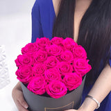 Infinity Luxe Round Special (20+ colors)